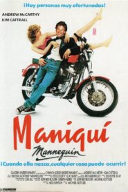 Me enamoré de un maniquí (Mannequin) Online En Netflix