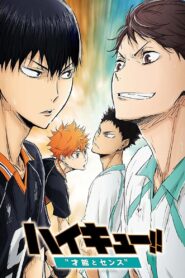 Haikyu!! The Movie 3: Talent and Sense Online En Netflix