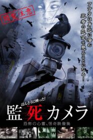 ほんとうに映った!監死カメラ Online En Netflix