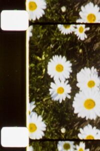 Seated Figures Online En Netflix