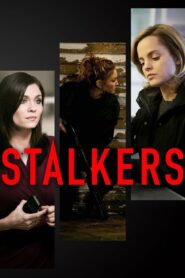 Stalkers Online En Netflix