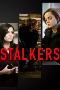 Stalkers Online En Netflix