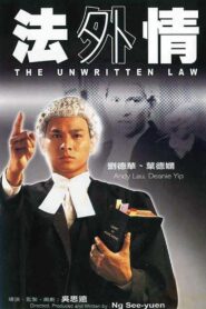 法外情 Online En Netflix