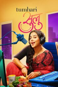 तुम्हारी सुलु Online En Netflix