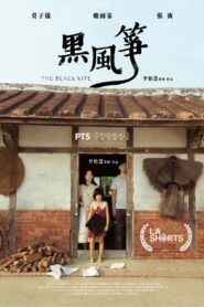 黑風箏 Online En Netflix