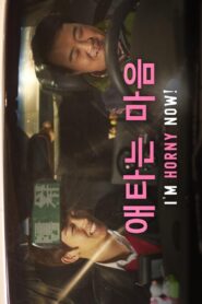 애타는 마음 Online En Netflix