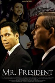 Mr. President Online En Netflix