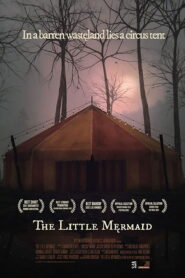 The Little Mermaid Online En Netflix