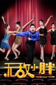 无敌小胖 Online En Netflix