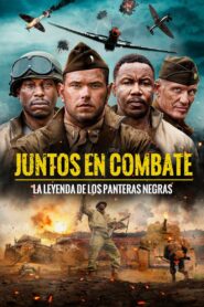 Come Out Fighting Online En Netflix