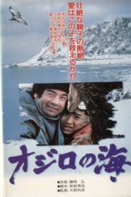 オジロの海 Online En Netflix