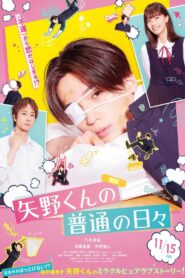 矢野くんの普通の日々 Online En Netflix