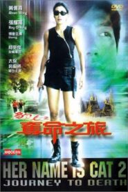 豹女之奪命之旅 Online En Netflix