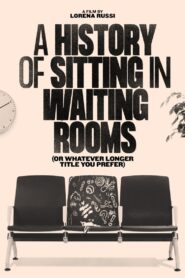 A History of Sitting in Waiting Rooms (or Whatever Longer Title You Prefer) Online En Netflix