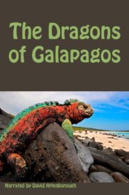 The Dragons of Galapagos Online En Netflix