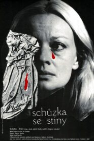 Schůzka se stíny Online En Netflix