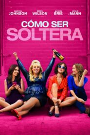 Cómo ser soltera Online En Netflix