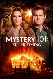 Mystery 101: Killer Timing Online En Netflix