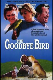 The Goodbye Bird Online En Netflix