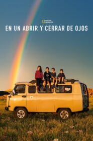 Blink Online En Netflix