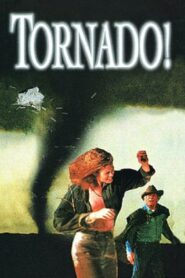 Tornado! Online En Netflix
