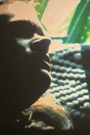 Tortured Dust Part 2 Online En Netflix