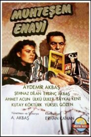 Muhteşem Enayi Online En Netflix