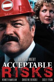 Acceptable Risks Online En Netflix