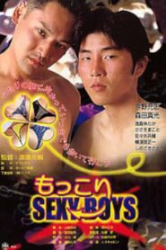 もっこりＳＥＸＹ　ＢＯＹＳ Online En Netflix