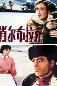 肖尔布拉克 Online En Netflix