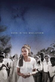 Born in the Maelstrom Online En Netflix