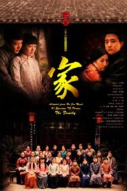 家 2007 En Netflix