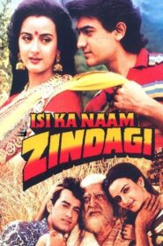 इसी का नाम ज़िन्दगी Online En Netflix