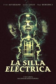 The Chair Online En Netflix