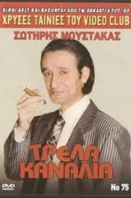 Τρελλά Κανάλια Online En Netflix