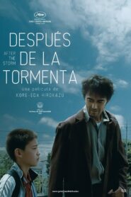 Tras la tormenta Online En Netflix