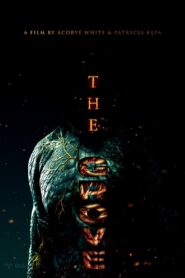 The Grove Online En Netflix