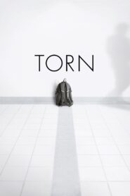 Torn Online En Netflix