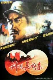 剑吼长城东 Online En Netflix