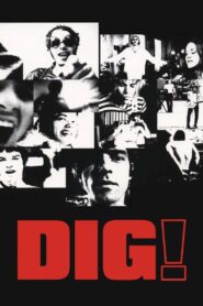 Dig! Online En Netflix