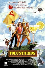 Volunteers Online En Netflix