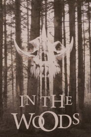 In the Woods Online En Netflix