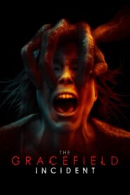The Gracefield Incident Online En Netflix