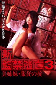 新・監禁逃亡3～美姉妹・服従の掟～ Online En Netflix