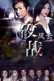 夜战风云 Online En Netflix