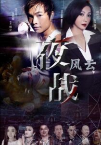 夜战风云 Online En Netflix