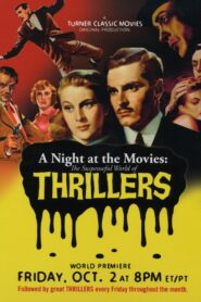 A Night at the Movies: The Suspenseful World of Thrillers Online En Netflix