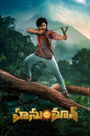 హను-మాన్ Online En Netflix