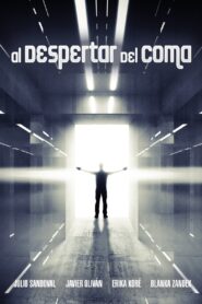 Al despertar del coma Online En Netflix