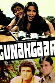 Gunahgaar Online En Netflix